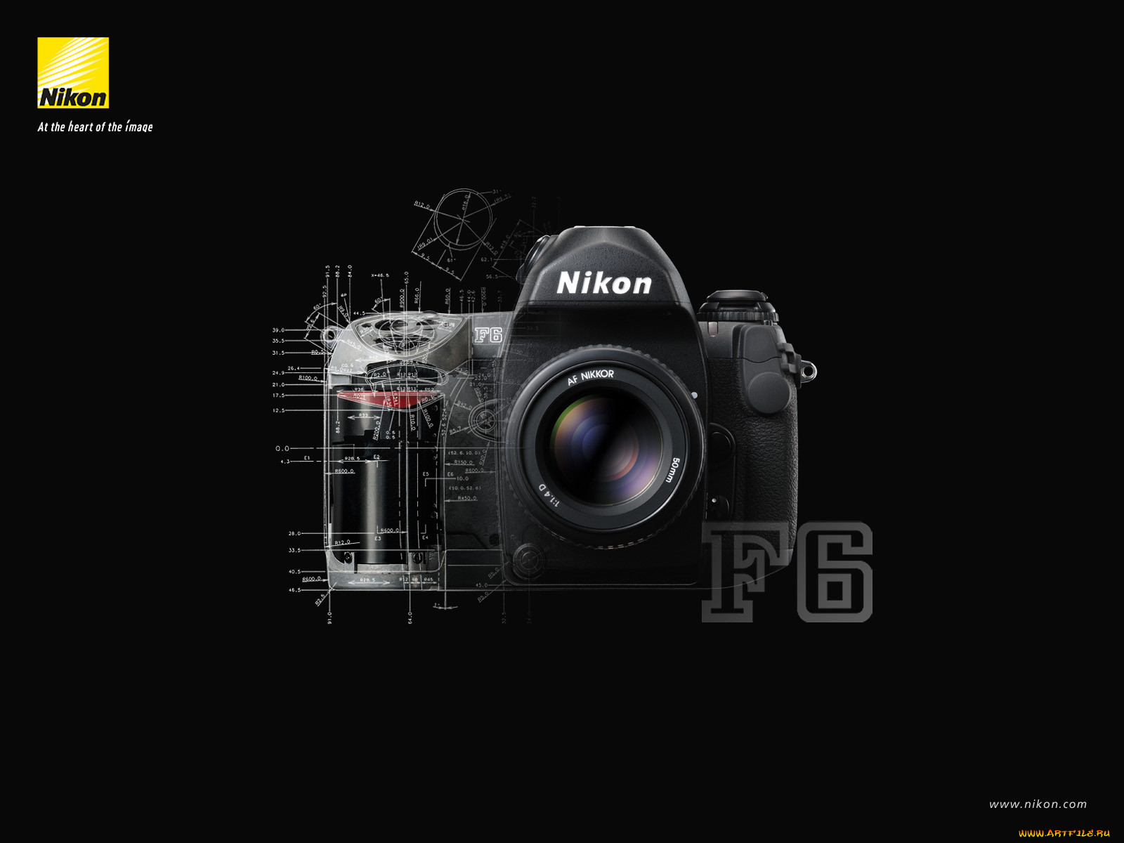 , nikon